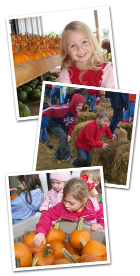 Fall Harvesting Tour at Trunnell's Farm Market in Kentucky