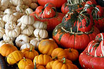 Gourds - all shapes, sizes, and varieties