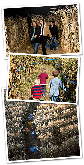 Giant Corn Maze - Utica, KY