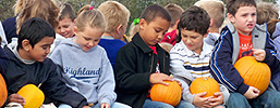 Fall Educational Tours - including education, hayrides, pick-your-own pumpkin, play time, and more